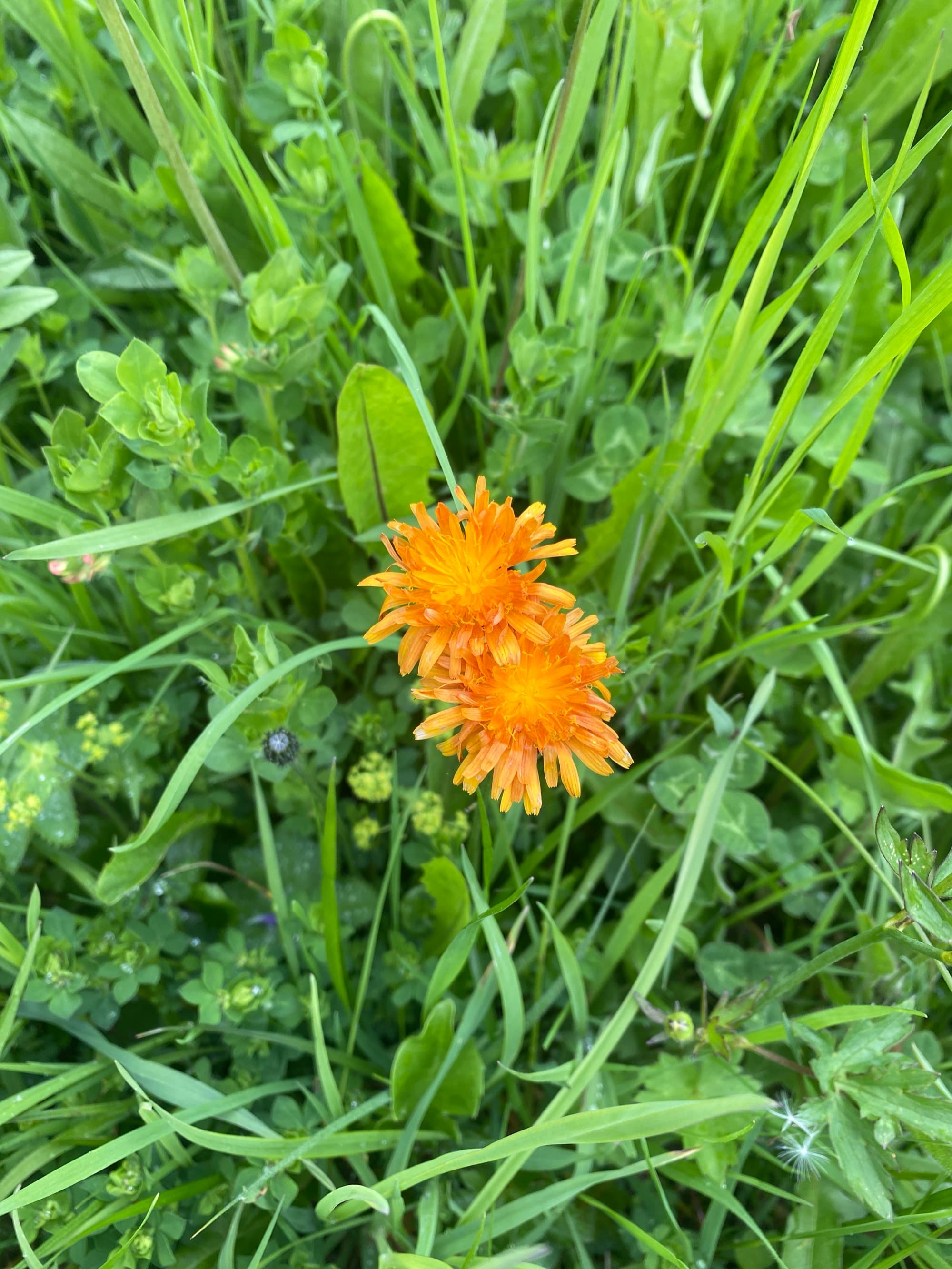 Noticing the small things